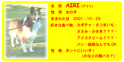 �A�C���@�v���t�B�[��