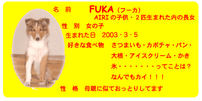 �t�[�J�@�v���t�[��